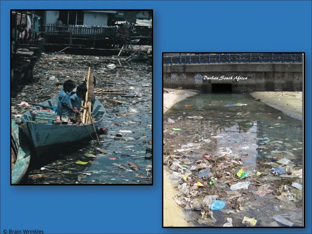 STANDARDS: SS7G2 Explain environmental issues - slide 16 of 62