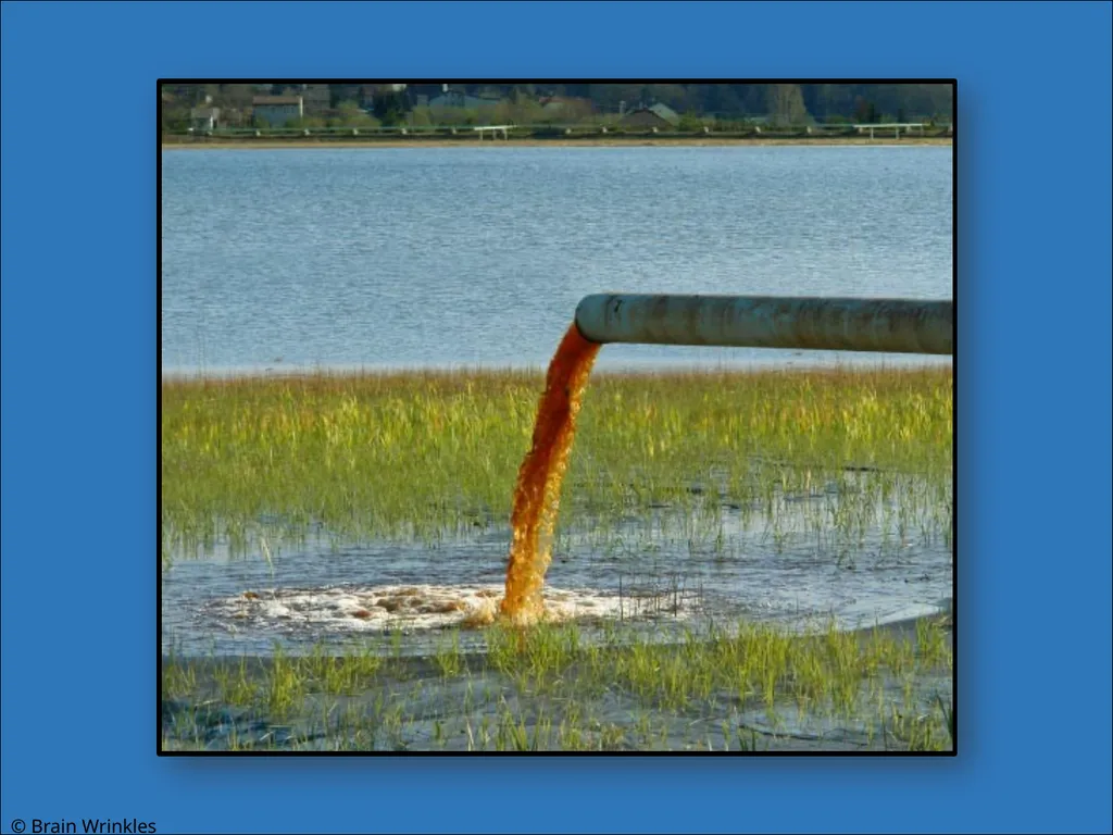 STANDARDS: SS7G2 Explain environmental issues - slide 20 of 62