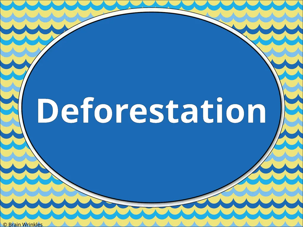 STANDARDS: SS7G2 Explain environmental issues - slide 21 of 62