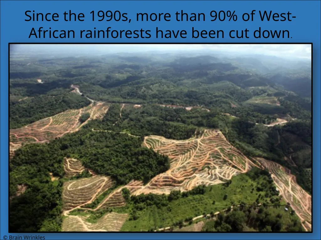 STANDARDS: SS7G2 Explain environmental issues - slide 29 of 62
