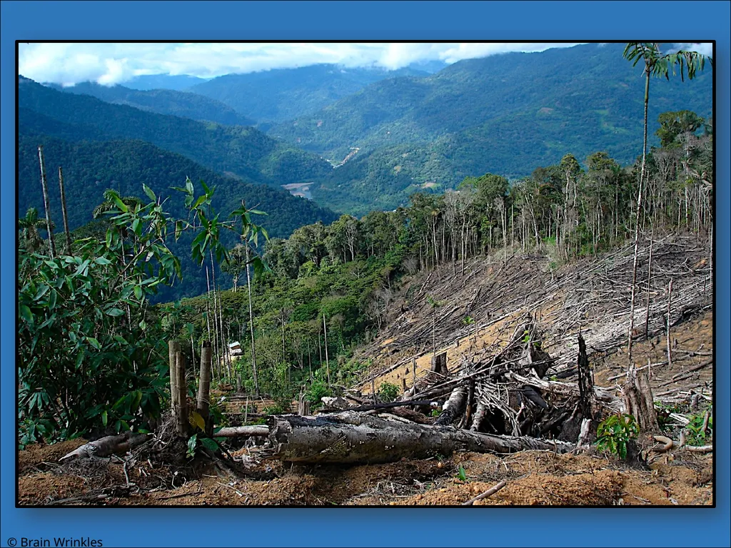 STANDARDS: SS7G2 Explain environmental issues - slide 30 of 62