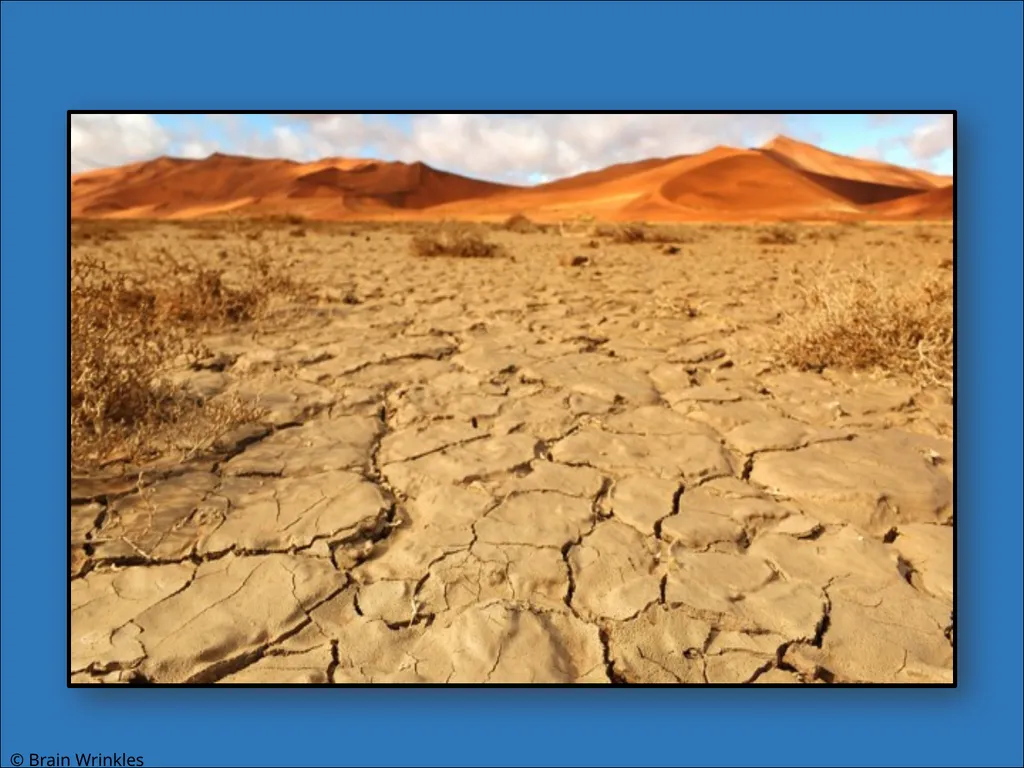 STANDARDS: SS7G2 Explain environmental issues - slide 36 of 62