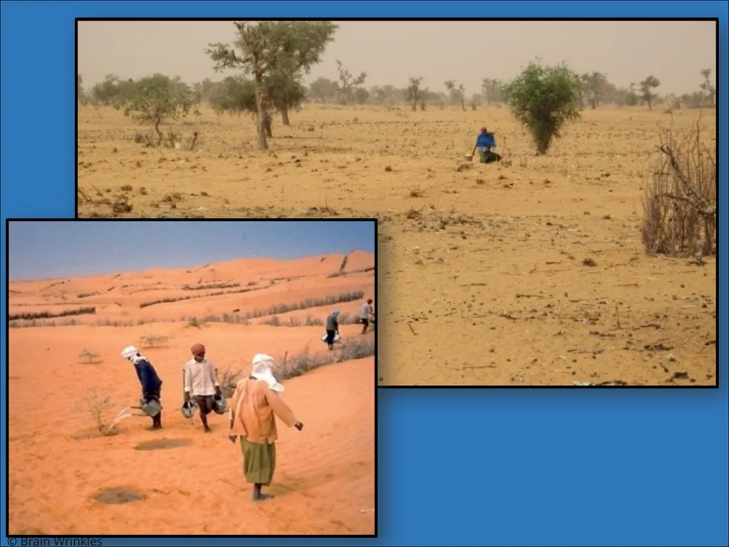 STANDARDS: SS7G2 Explain environmental issues - slide 38 of 62
