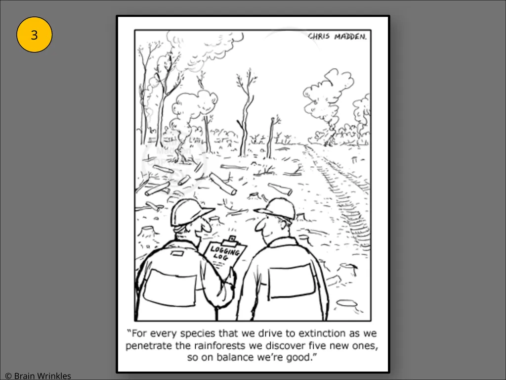 STANDARDS: SS7G2 Explain environmental issues - slide 51 of 62