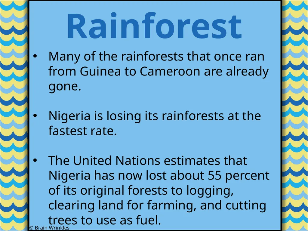 STANDARDS: SS7G2 Explain environmental issues - slide 28 of 62
