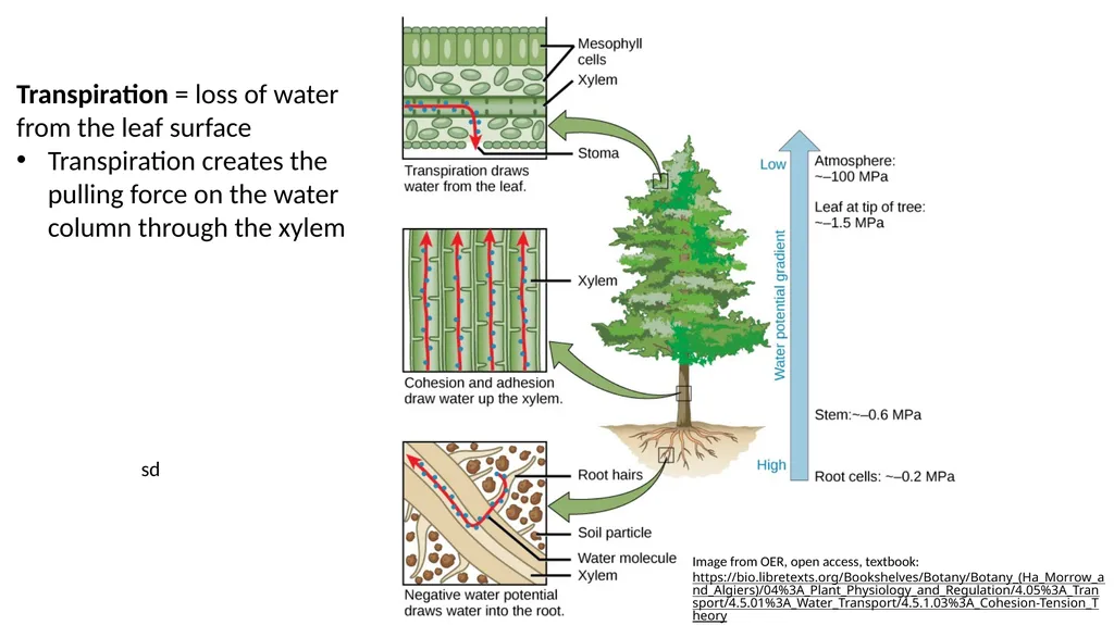 Climate Justice: Pacific Northwest Indigenous - slide 4 of 16