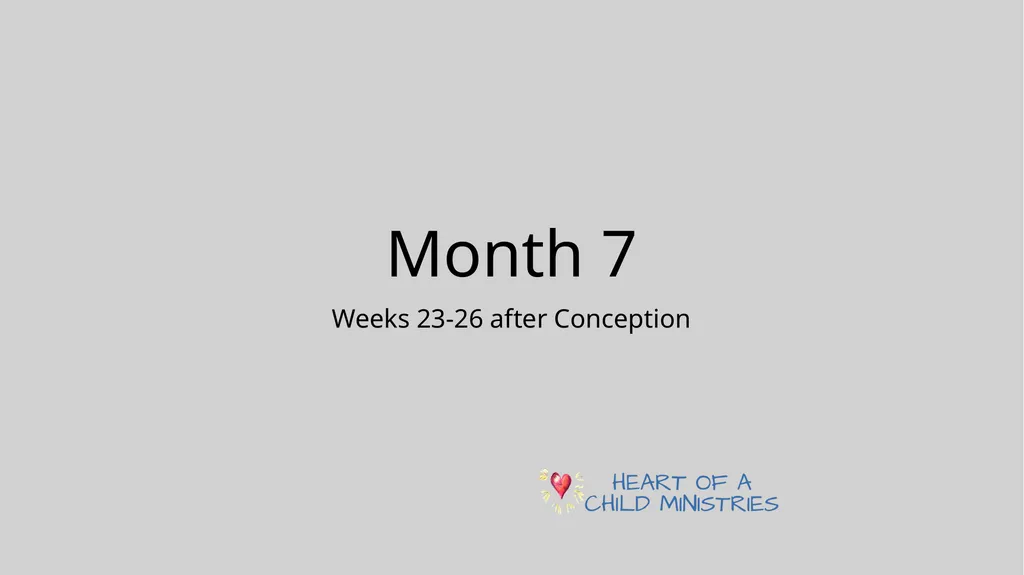 Month 7 Weeks 23-26 after Conception Blinking - slide 1 of 8