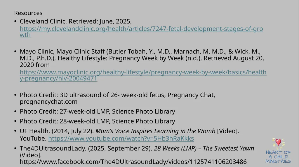 Month 7 Weeks 23-26 after Conception Blinking - slide 8 of 8