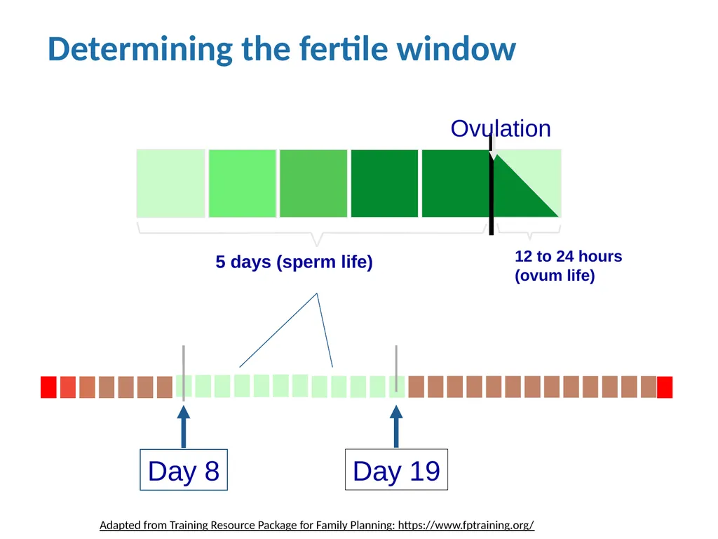 Contraceptive methods - Part 4 Raqibat Idris, - slide 99 of 113