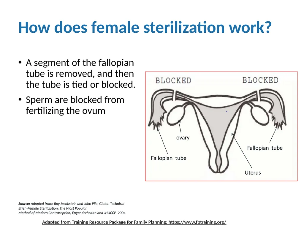 Contraceptive methods - Part 4 Raqibat Idris, - slide 22 of 113