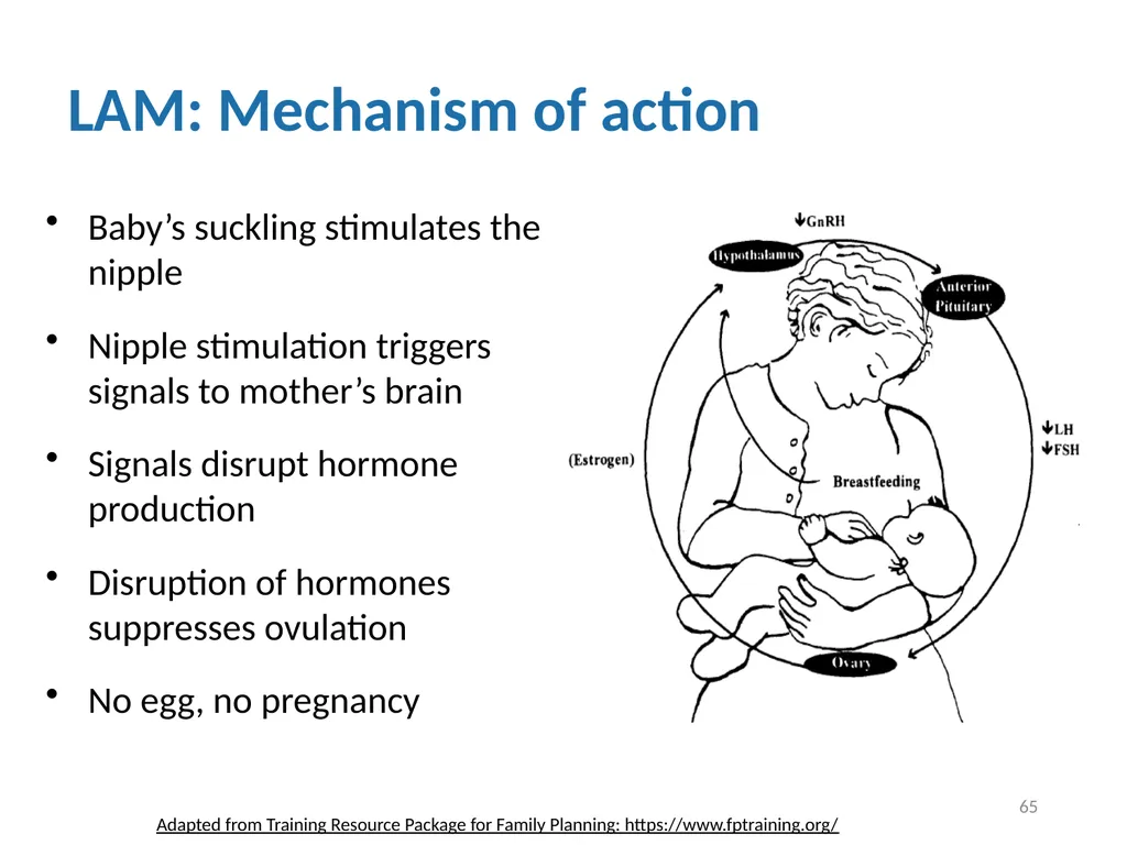 Contraceptive methods - Part 4 Raqibat Idris, - slide 65 of 113