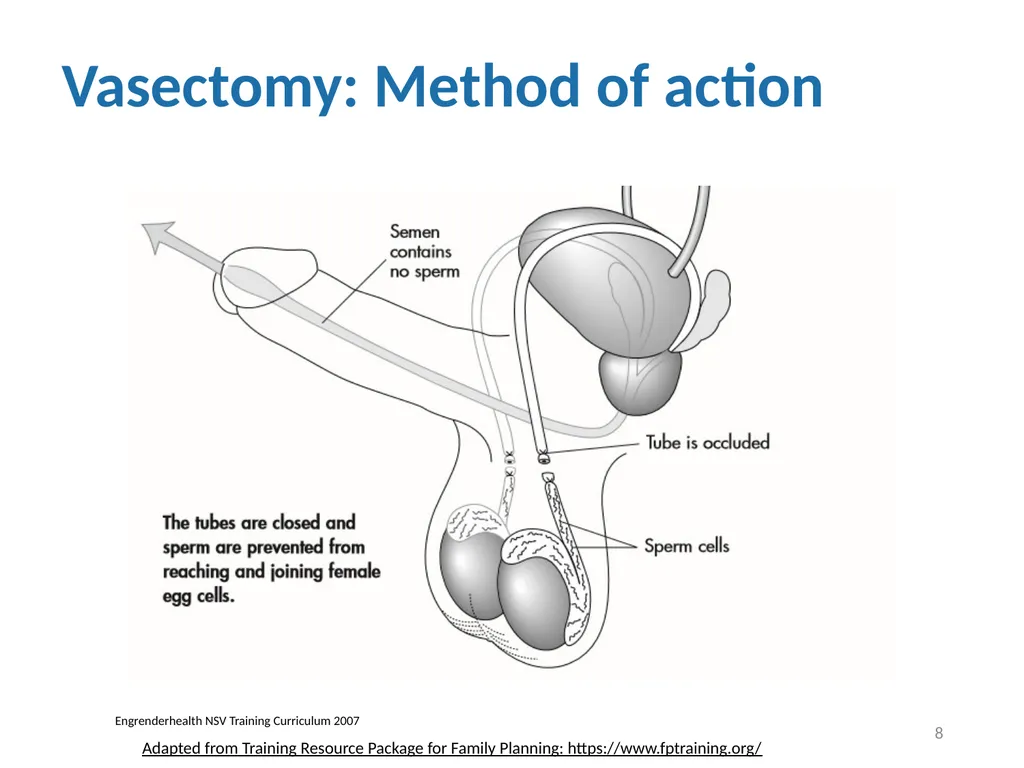 Contraceptive methods - Part 4 Raqibat Idris, - slide 8 of 113