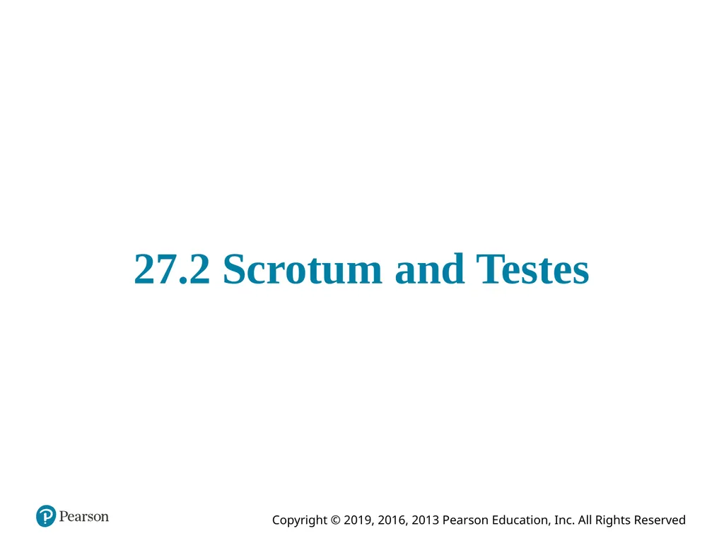 Human Anatomy and Physiology Eleventh Edition - slide 40 of 108