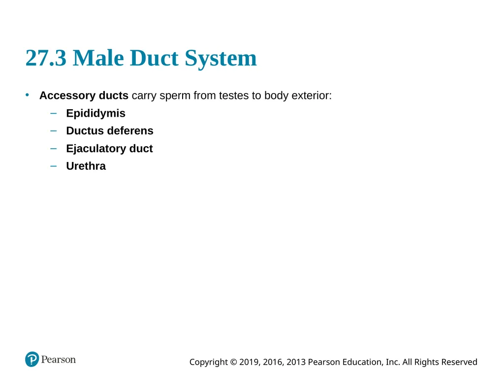 Human Anatomy and Physiology Eleventh Edition - slide 50 of 108