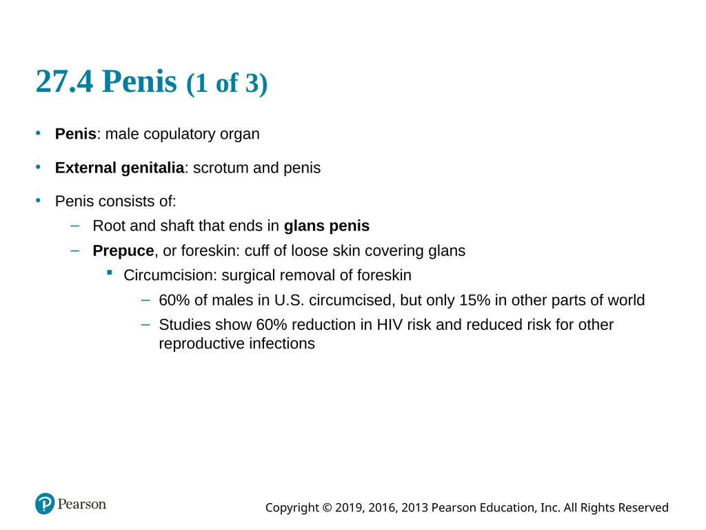 Human Anatomy and Physiology Eleventh Edition - slide 57 of 108