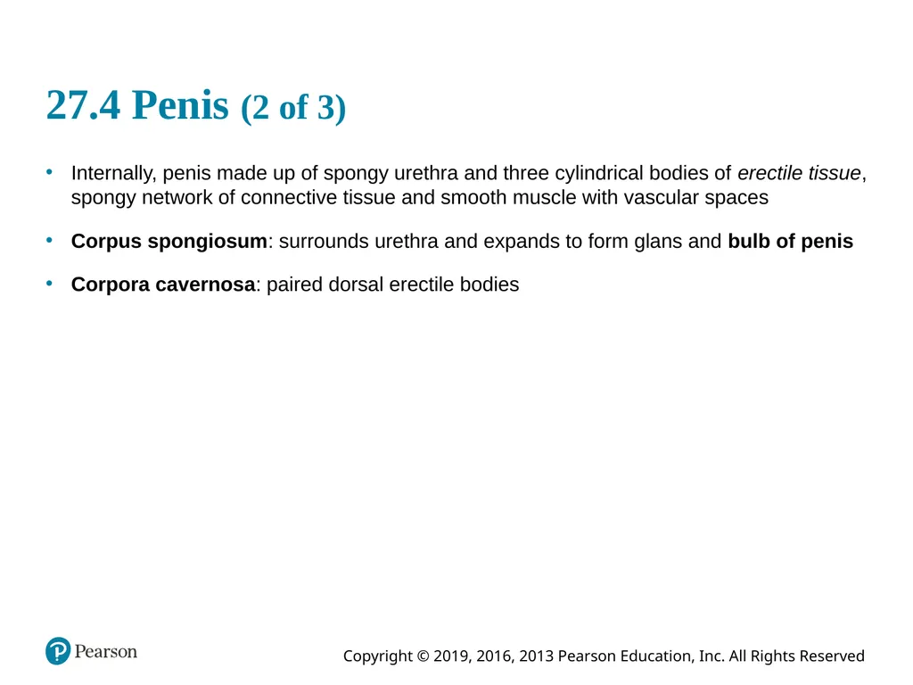 Human Anatomy and Physiology Eleventh Edition - slide 58 of 108