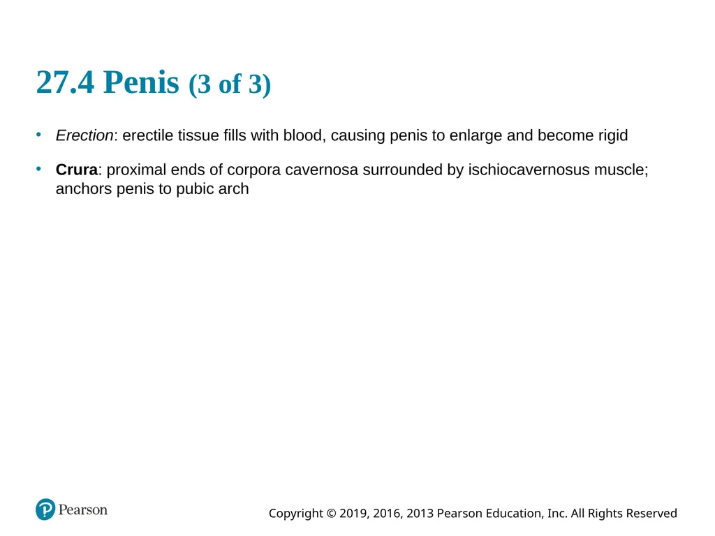 Human Anatomy and Physiology Eleventh Edition - slide 59 of 108