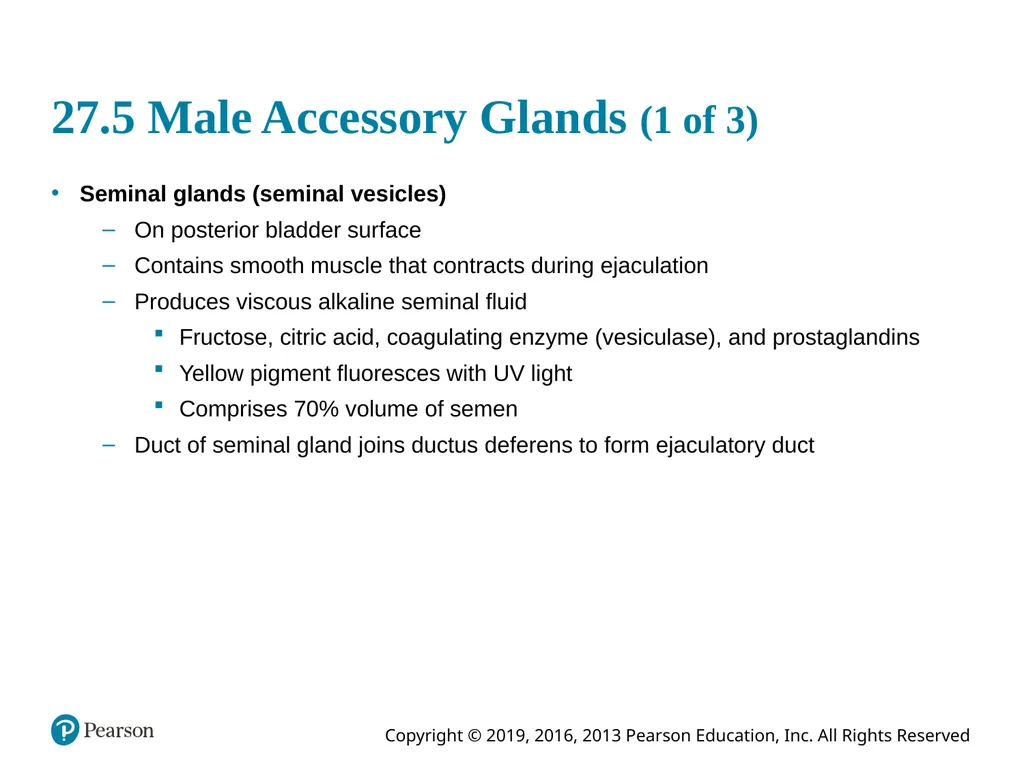 Human Anatomy and Physiology Eleventh Edition - slide 63 of 108