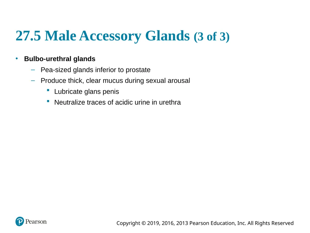 Human Anatomy and Physiology Eleventh Edition - slide 65 of 108