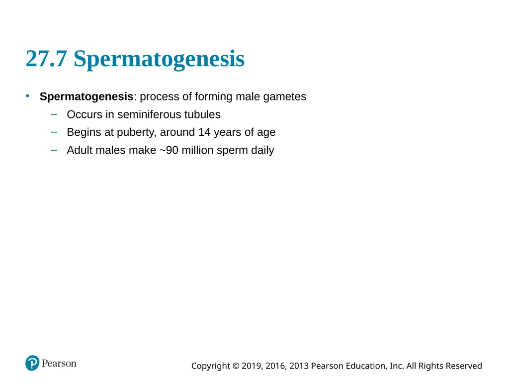 Human Anatomy and Physiology Eleventh Edition - slide 80 of 108