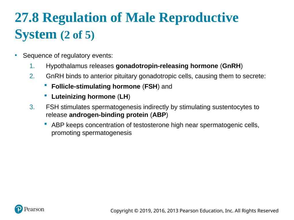 Human Anatomy and Physiology Eleventh Edition - slide 101 of 108