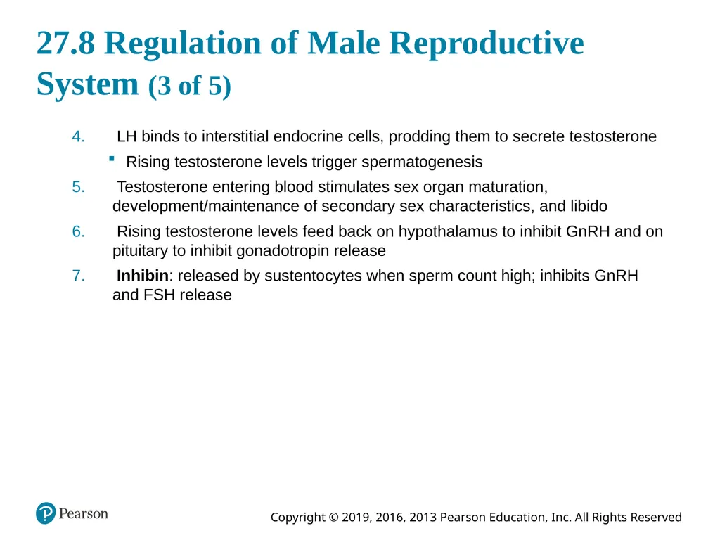 Human Anatomy and Physiology Eleventh Edition - slide 102 of 108