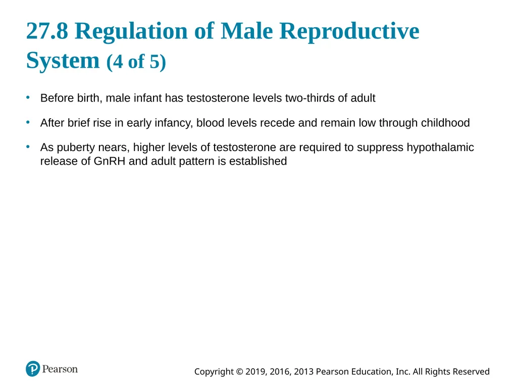 Human Anatomy and Physiology Eleventh Edition - slide 103 of 108