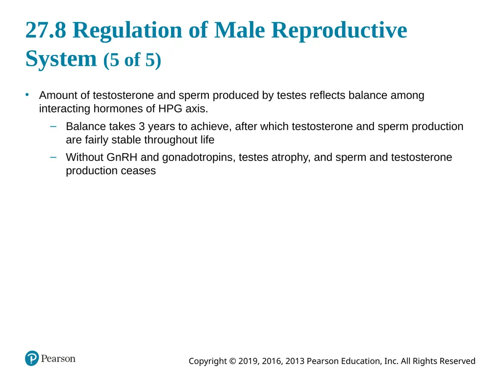 Human Anatomy and Physiology Eleventh Edition - slide 105 of 108