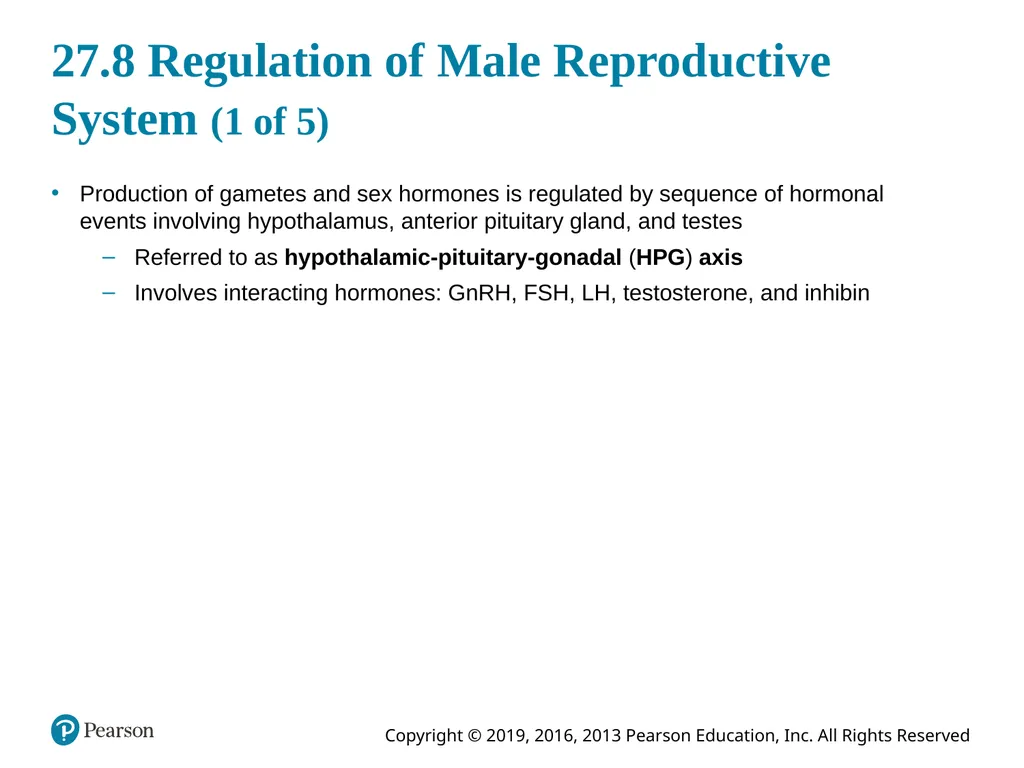 Human Anatomy and Physiology Eleventh Edition - slide 99 of 108