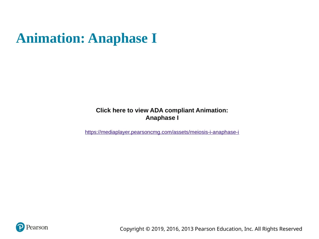 Human Anatomy and Physiology Eleventh Edition - slide 33 of 108