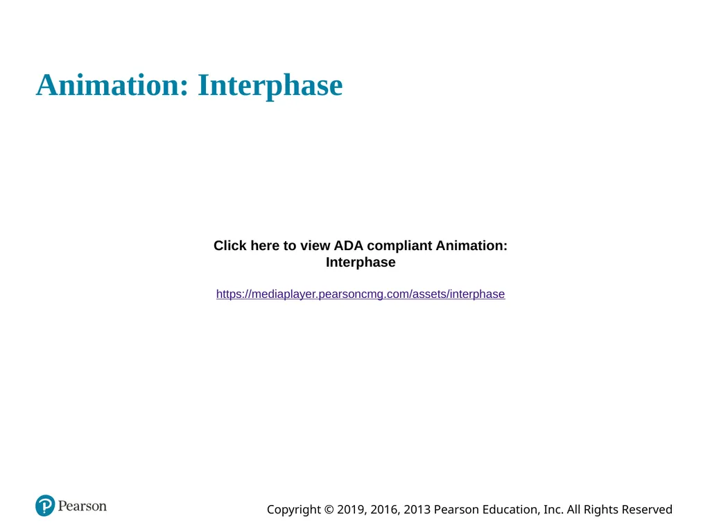 Human Anatomy and Physiology Eleventh Edition - slide 30 of 108