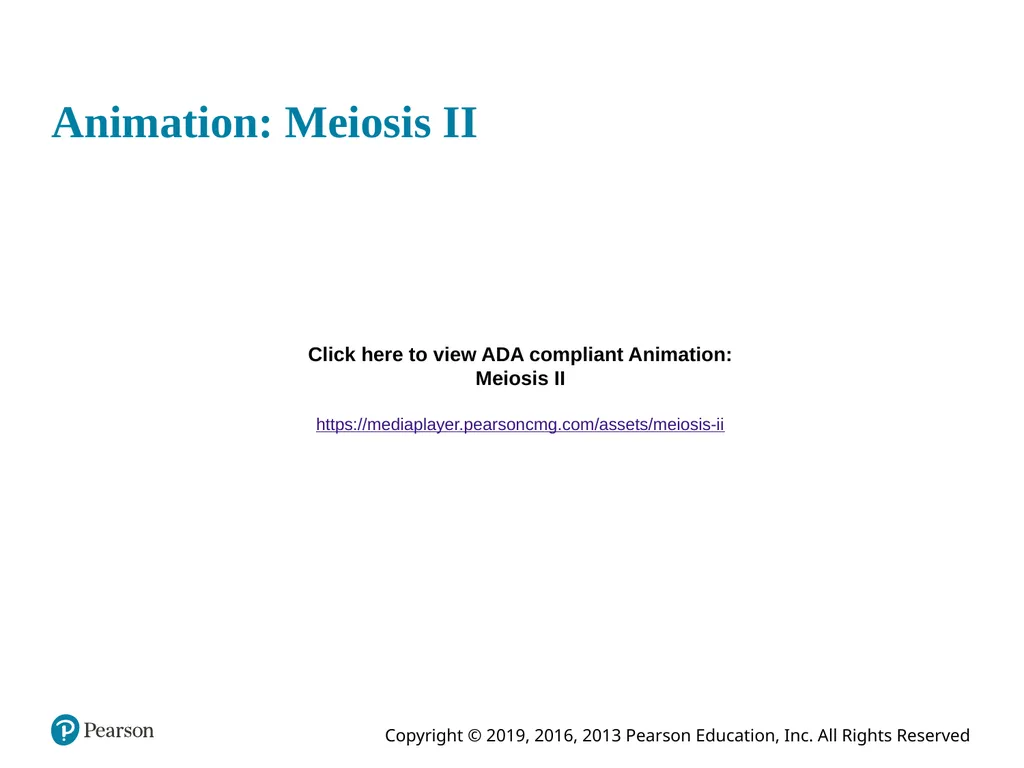 Human Anatomy and Physiology Eleventh Edition - slide 35 of 108