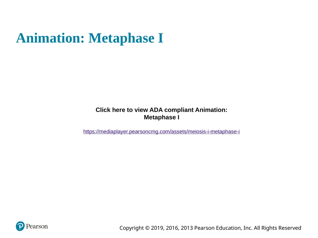 Human Anatomy and Physiology Eleventh Edition - slide 32 of 108