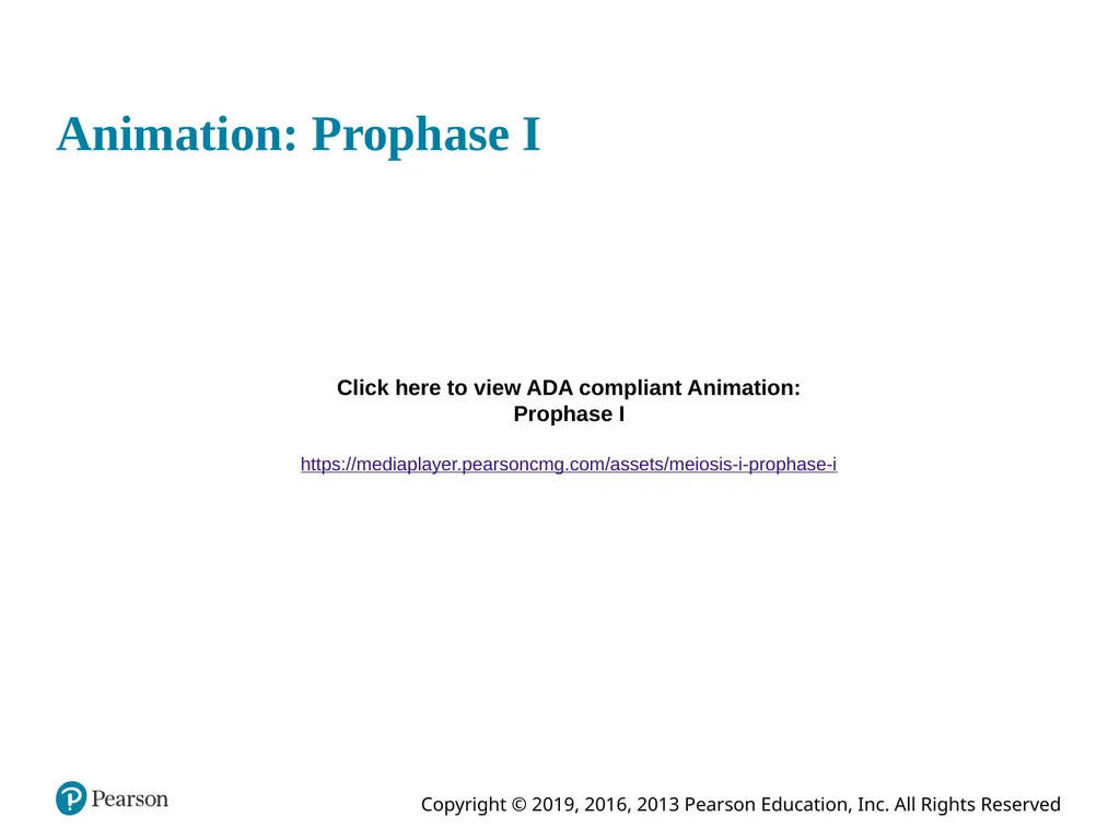 Human Anatomy and Physiology Eleventh Edition - slide 31 of 108