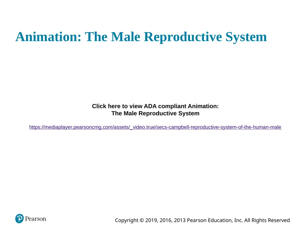 Human Anatomy and Physiology Eleventh Edition - slide 38 of 108