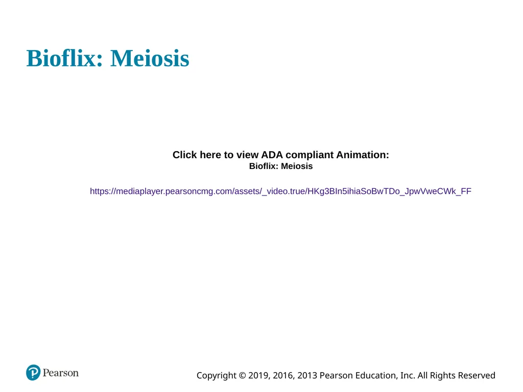 Human Anatomy and Physiology Eleventh Edition - slide 36 of 108