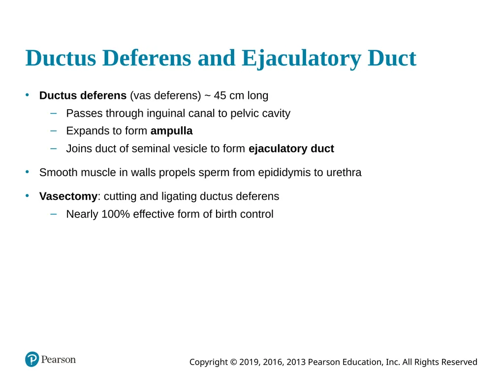 Human Anatomy and Physiology Eleventh Edition - slide 53 of 108