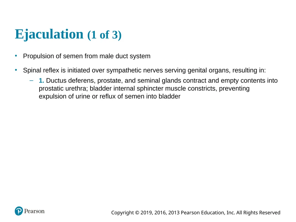 Human Anatomy and Physiology Eleventh Edition - slide 75 of 108