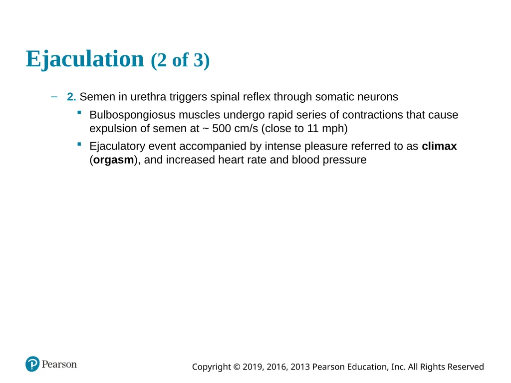Human Anatomy and Physiology Eleventh Edition - slide 76 of 108