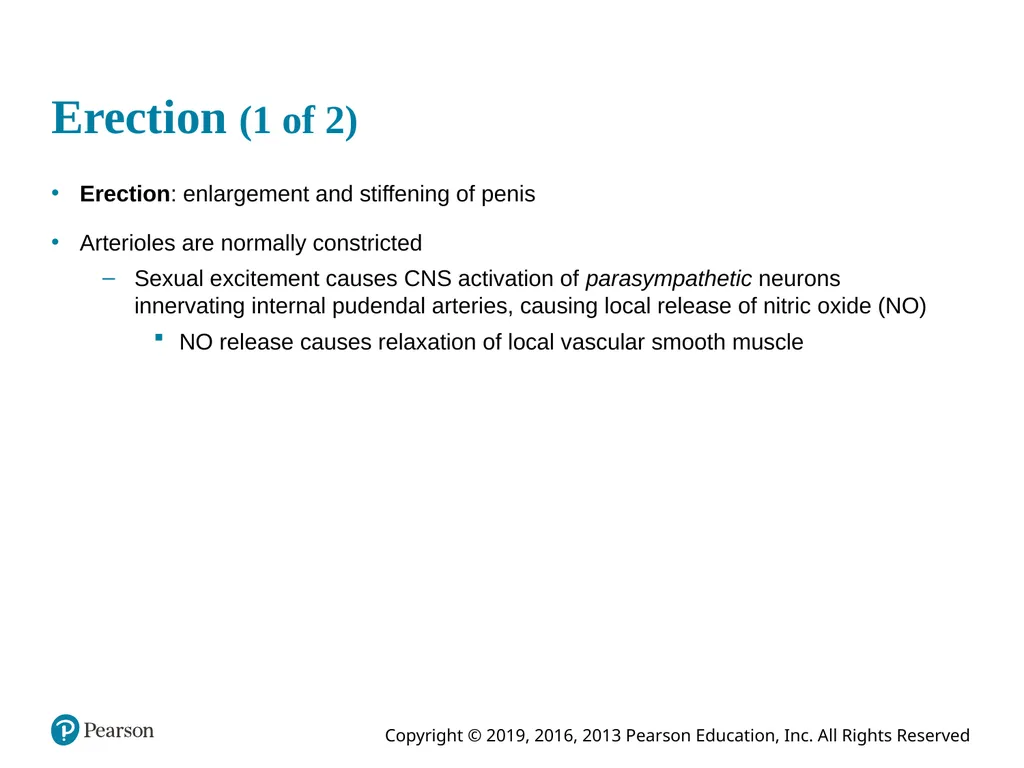 Human Anatomy and Physiology Eleventh Edition - slide 73 of 108