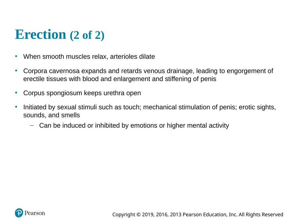 Human Anatomy and Physiology Eleventh Edition - slide 74 of 108