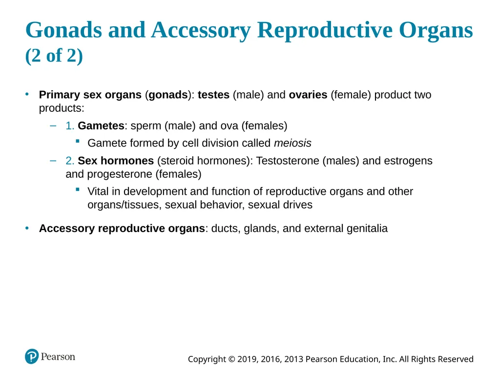 Human Anatomy and Physiology Eleventh Edition - slide 8 of 108