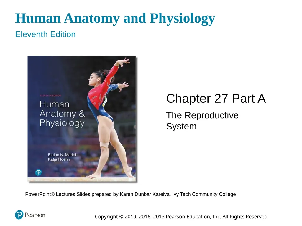 Human Anatomy and Physiology Eleventh Edition - slide 1 of 108