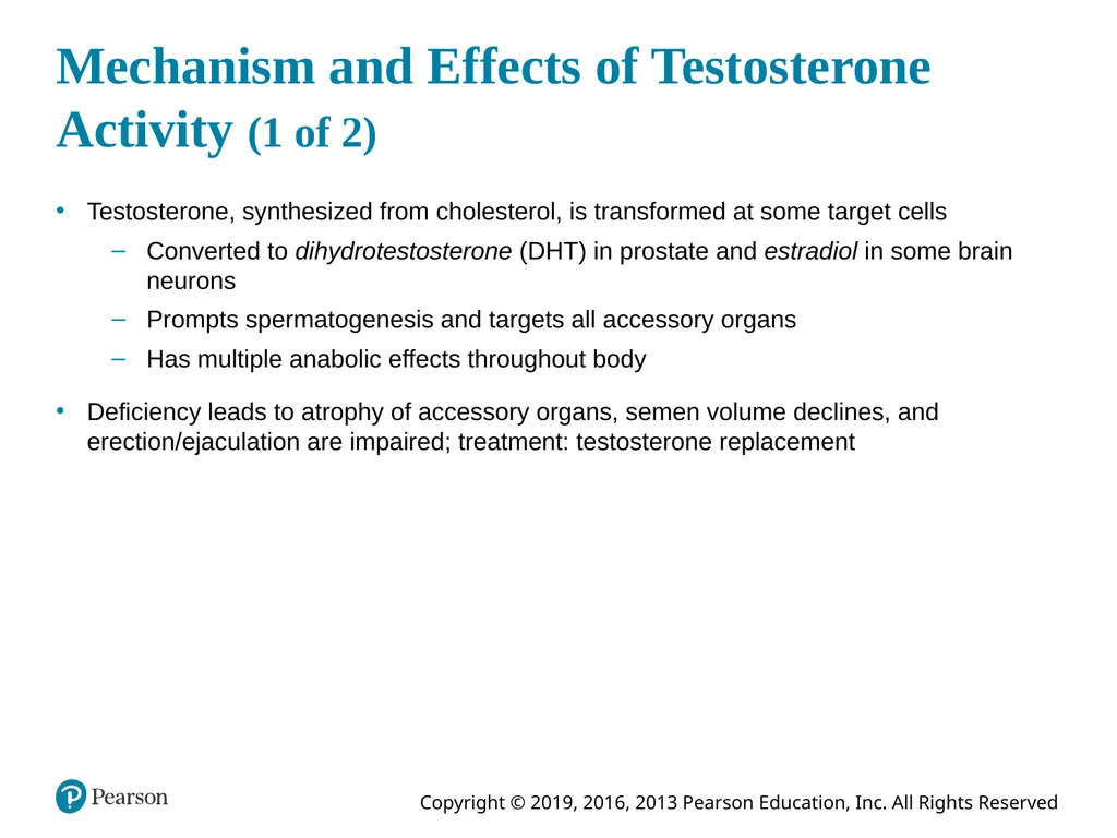Human Anatomy and Physiology Eleventh Edition - slide 106 of 108
