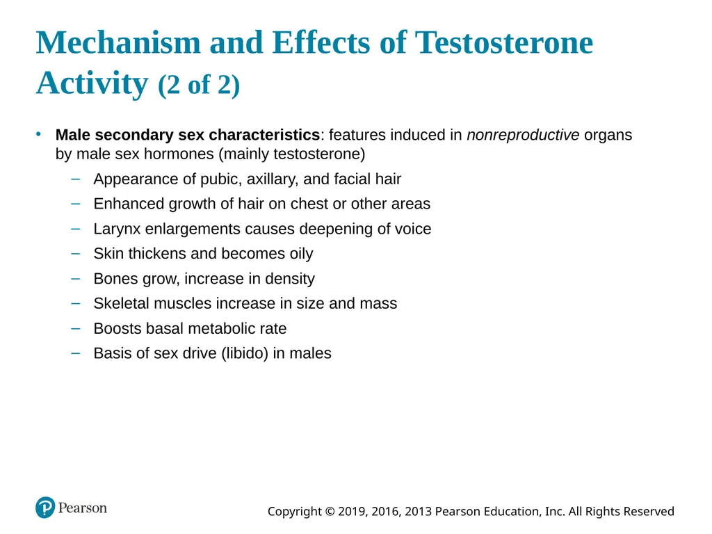 Human Anatomy and Physiology Eleventh Edition - slide 107 of 108
