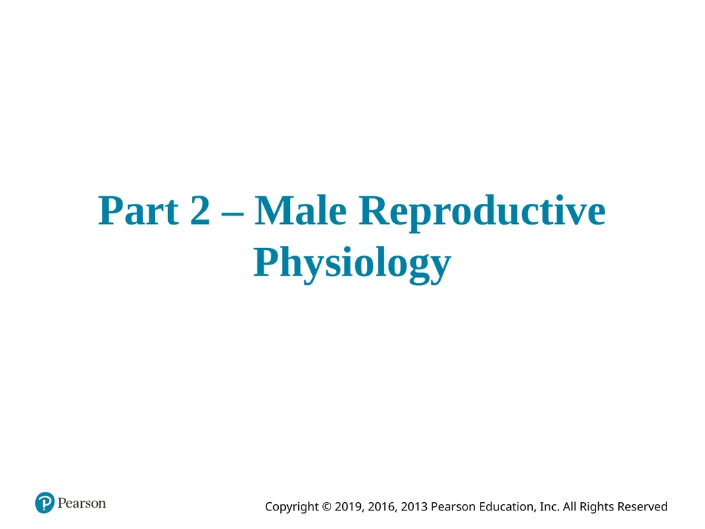 Human Anatomy and Physiology Eleventh Edition - slide 71 of 108