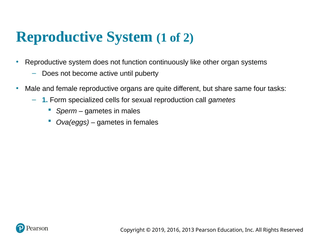 Human Anatomy and Physiology Eleventh Edition - slide 4 of 108