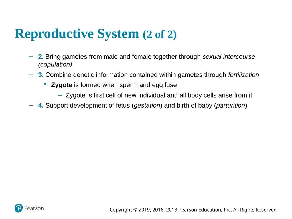 Human Anatomy and Physiology Eleventh Edition - slide 5 of 108
