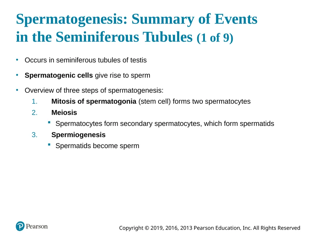 Human Anatomy and Physiology Eleventh Edition - slide 84 of 108