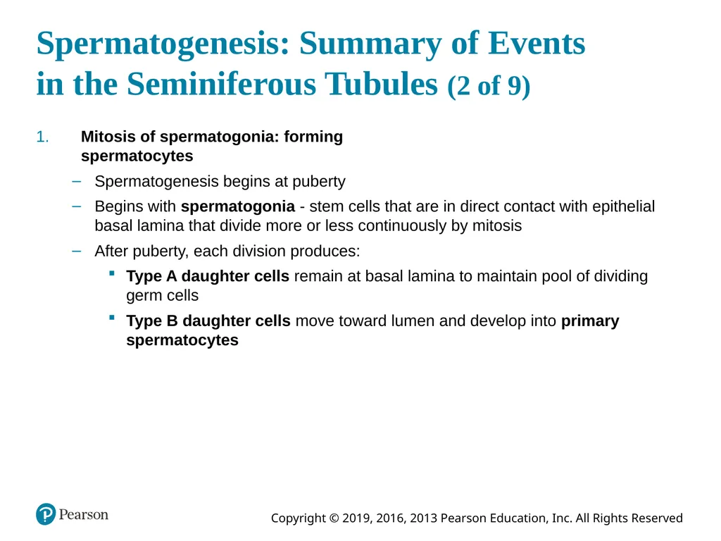 Human Anatomy and Physiology Eleventh Edition - slide 85 of 108